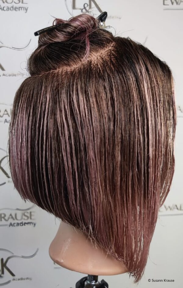 Testina Bianca, castano medio - immagine 3