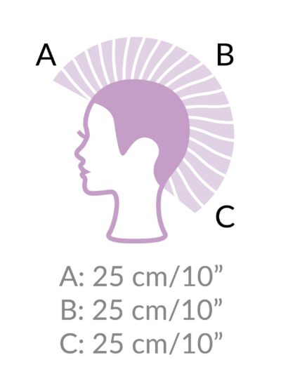 Testina Heidi, 5 sezioni